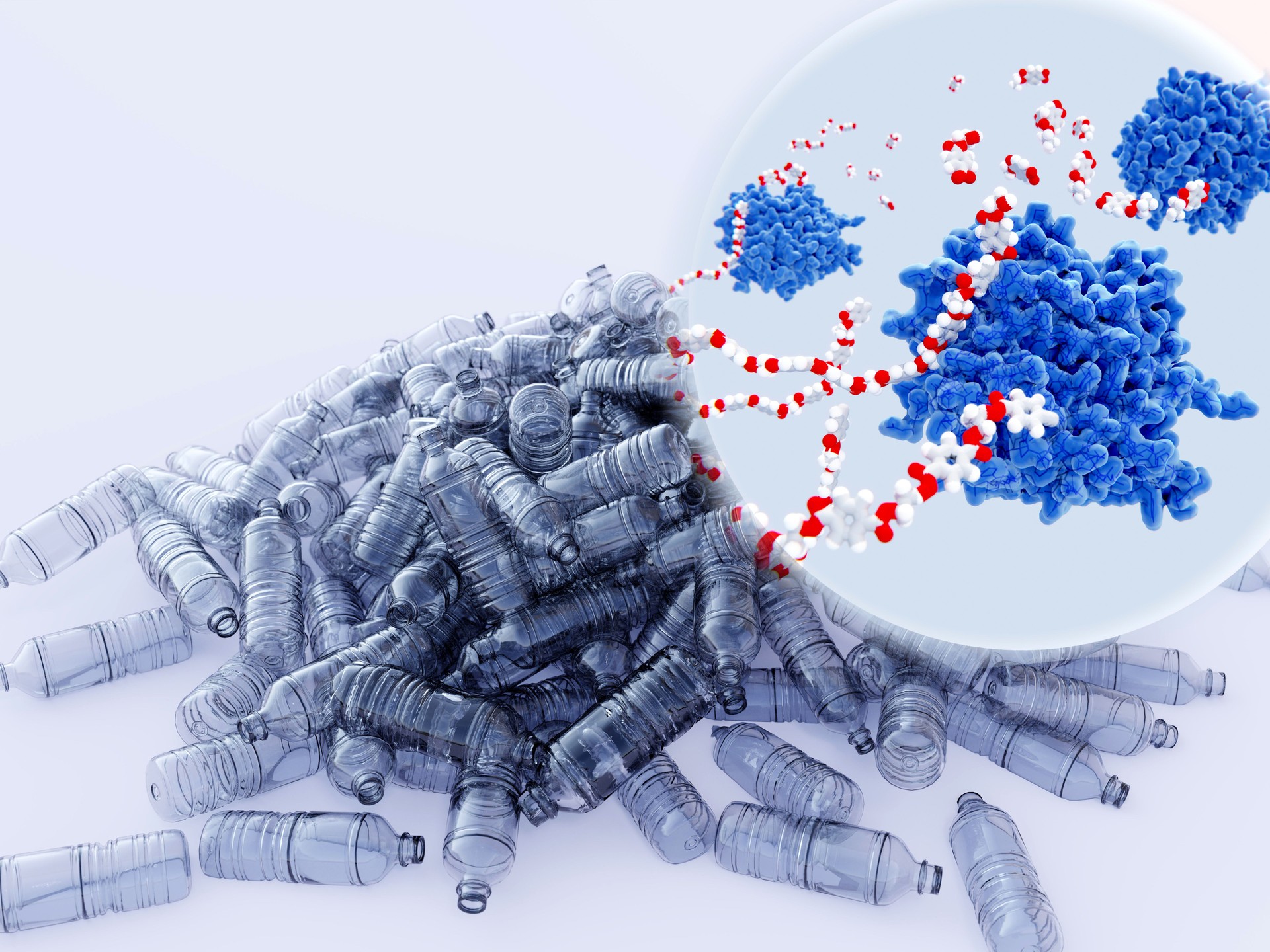 Bacterial PETase enzymes breaking down PET plastic.